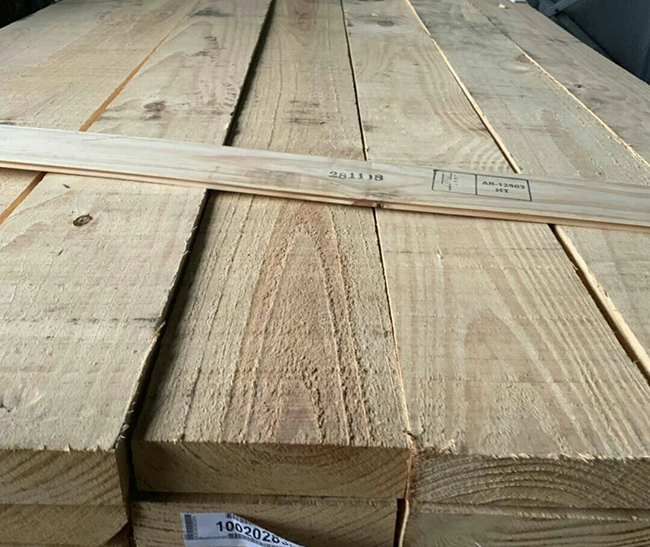 邻水阿根廷松木